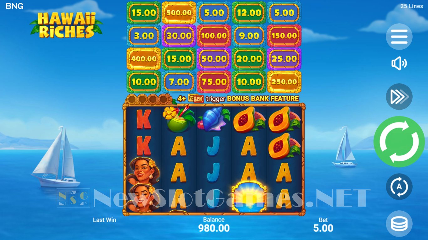 Hawaii Riches Slot Slot Image in Demo - pic. 3