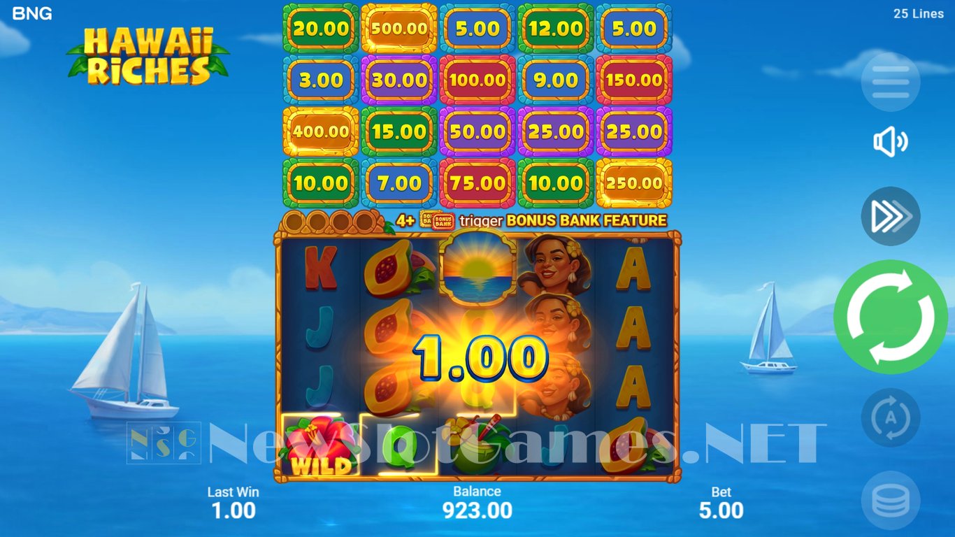 Hawaii Riches Slot Slot Image in Demo - pic. 7