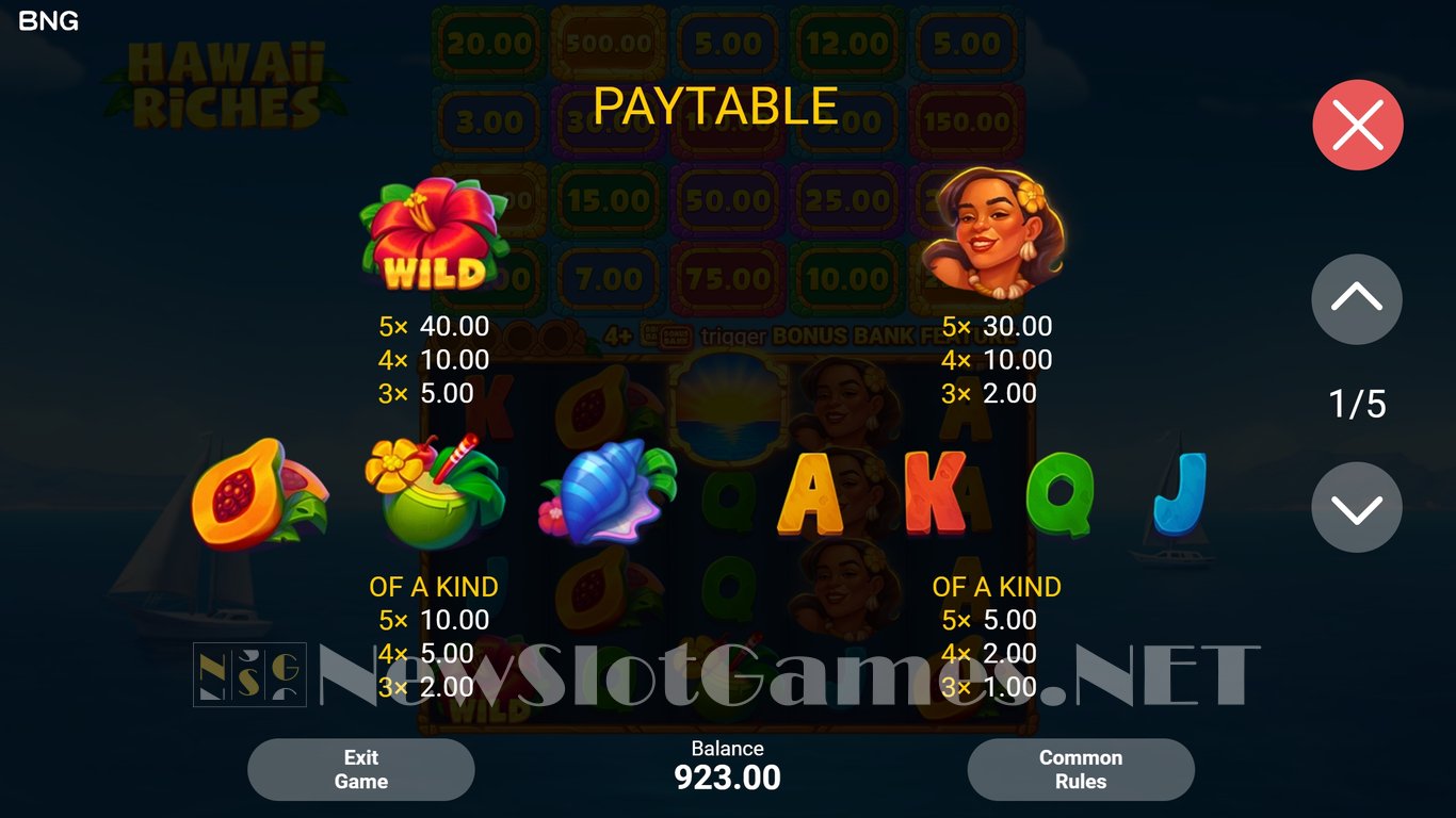 Hawaii Riches Slot Slot Image in Demo - pic. 8