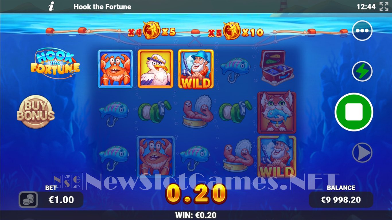 Hook the Fortune Slot Slot Image in Demo - pic. 3