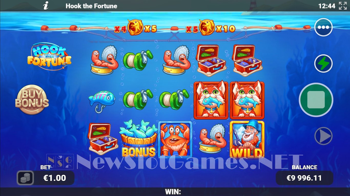 Hook the Fortune Slot Slot Image in Demo - pic. 4
