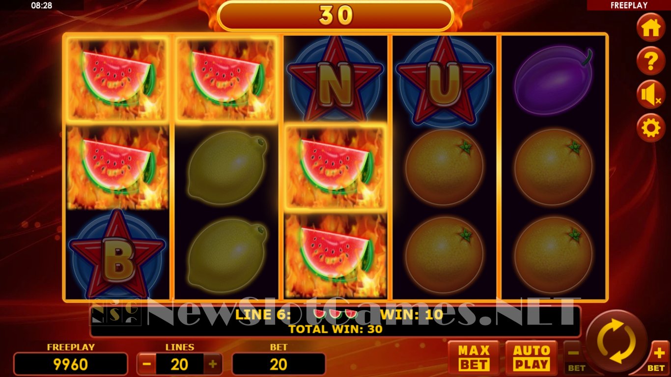 Hot Fruits Wheel Slot Slot Image in Demo - pic. 2