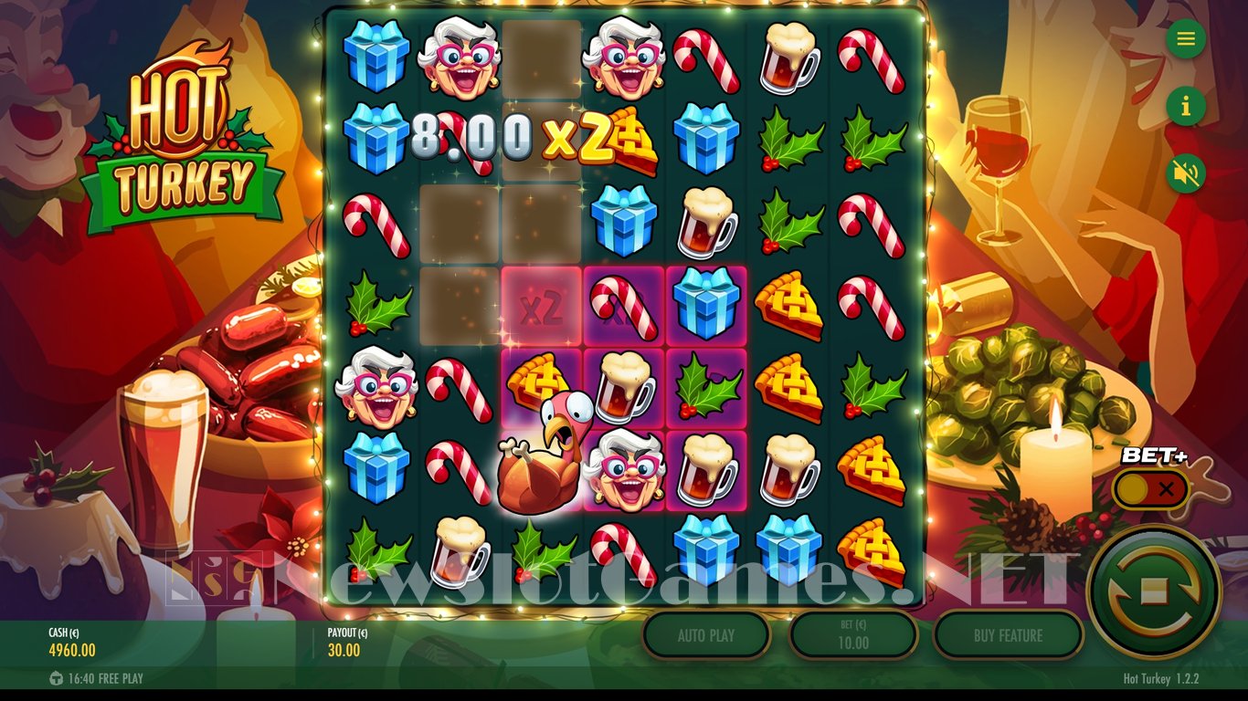 Hot Turkey Slot Slot Image in Demo - pic. 6