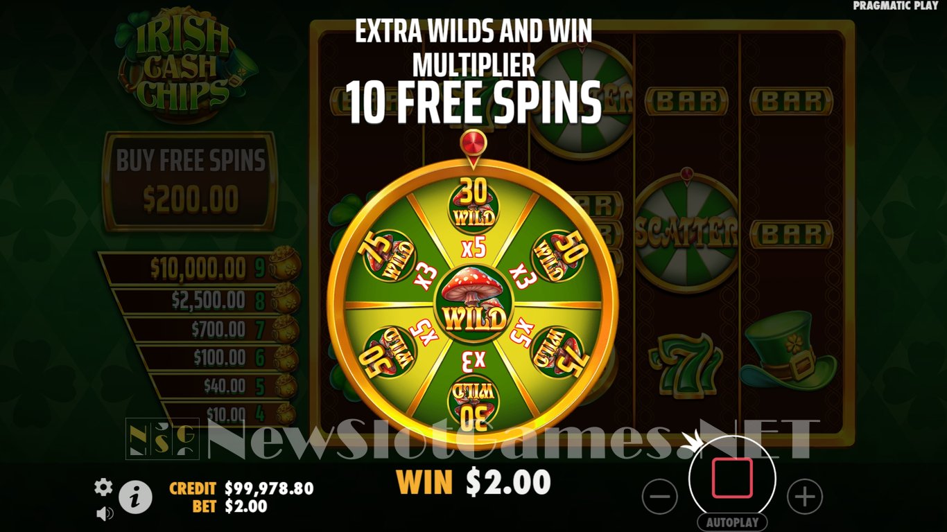 Irish Cash Chips Slot Slot Image in Demo - pic. 6
