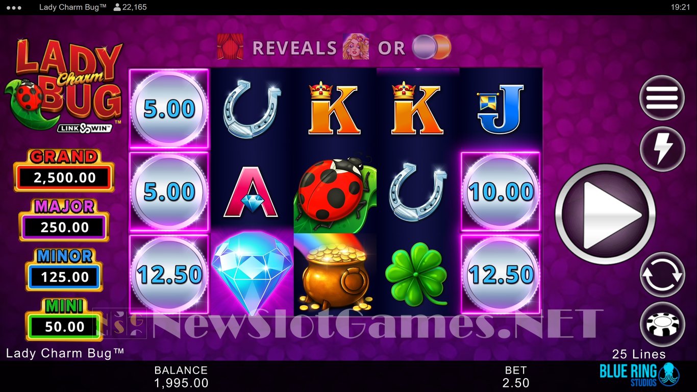 Lady Charm Bug Slot Slot Image in Demo - pic. 2