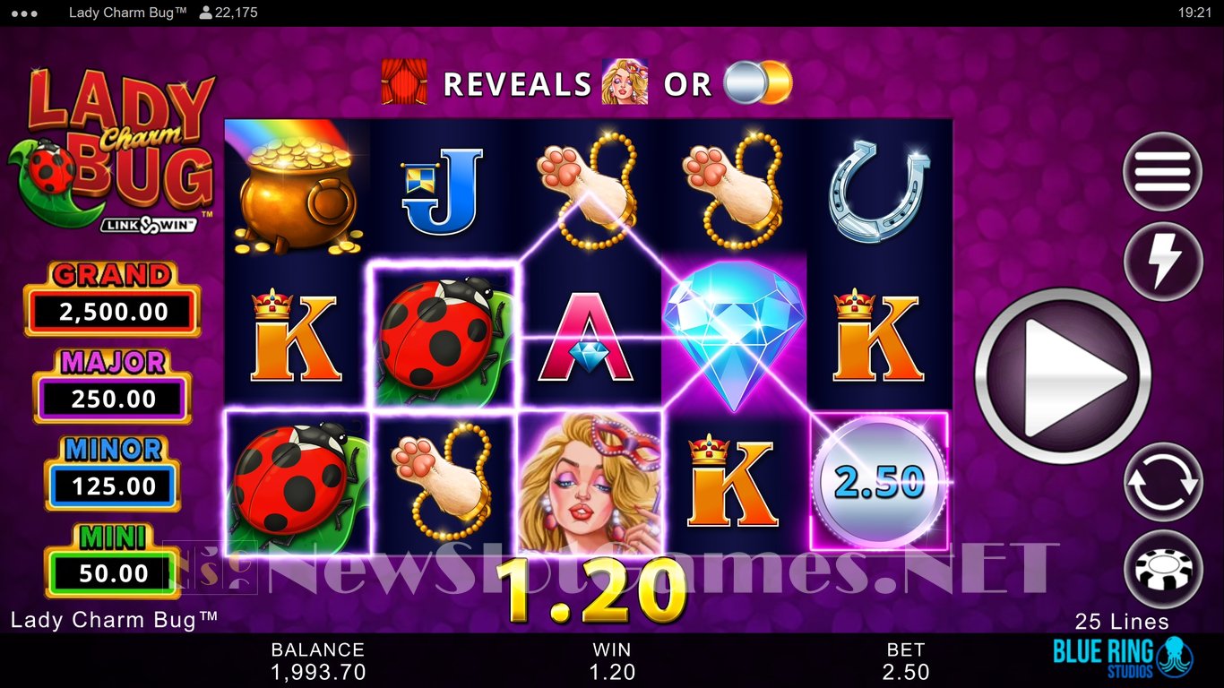 Lady Charm Bug Slot Slot Image in Demo - pic. 3