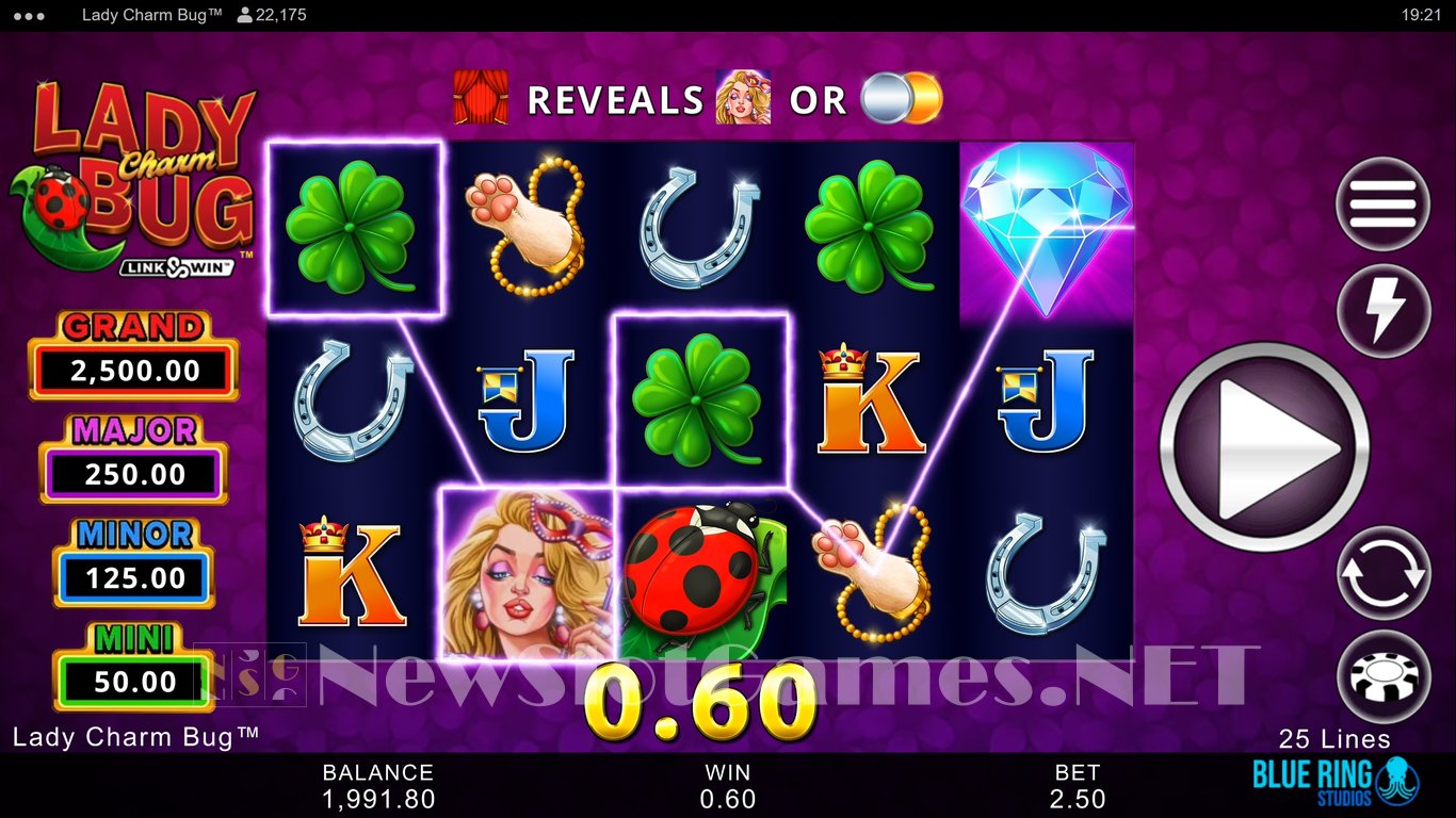 Lady Charm Bug Slot Slot Image in Demo - pic. 4
