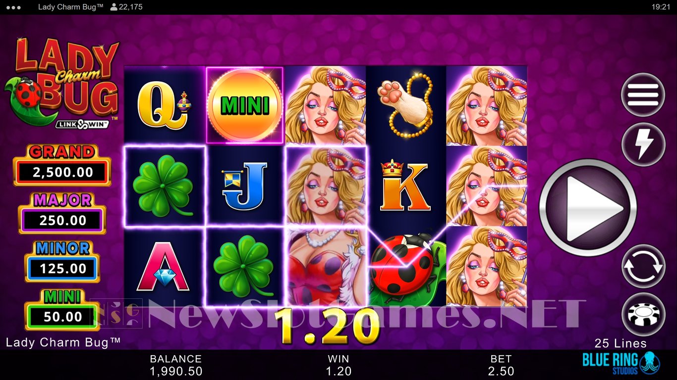 Lady Charm Bug Slot Slot Image in Demo - pic. 5