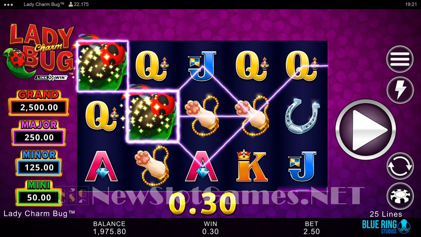 Lady Charm Bug Slot Slot Image in Demo - pic. 6