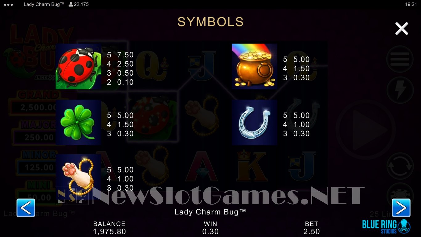 Lady Charm Bug Slot Slot Image in Demo - pic. 7