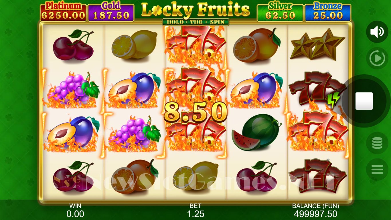 Locky Fruits Hold the Spin Slot Slot Image in Demo - pic. 2