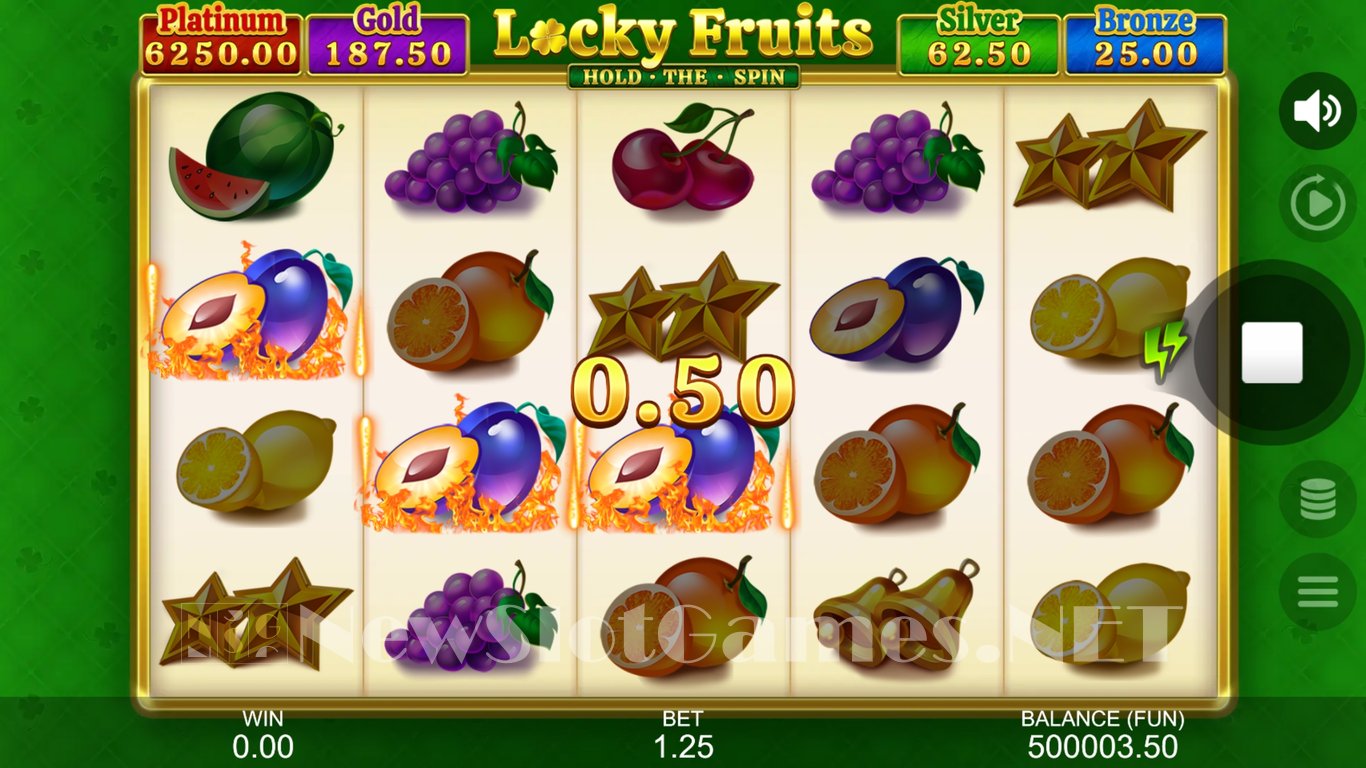 Locky Fruits Hold the Spin Slot Slot Image in Demo - pic. 3