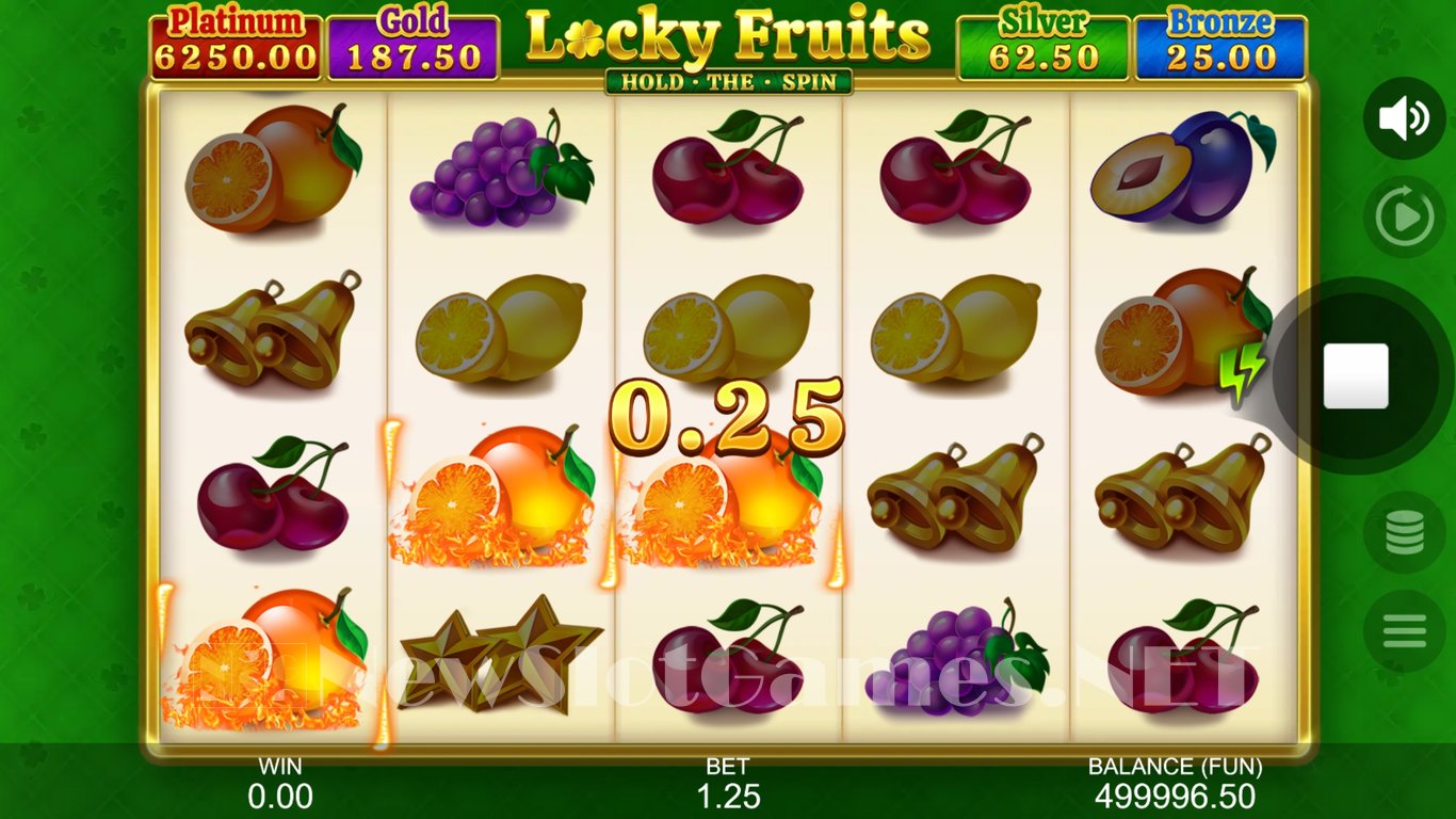 Locky Fruits Hold the Spin Slot Slot Image in Demo - pic. 4