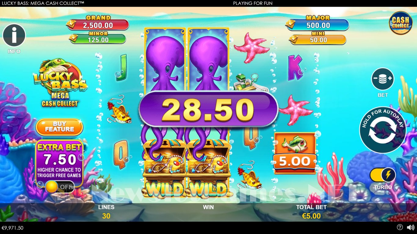 Lucky Bass Mega Cash Collect Slot Slot Image in Demo - pic. 5