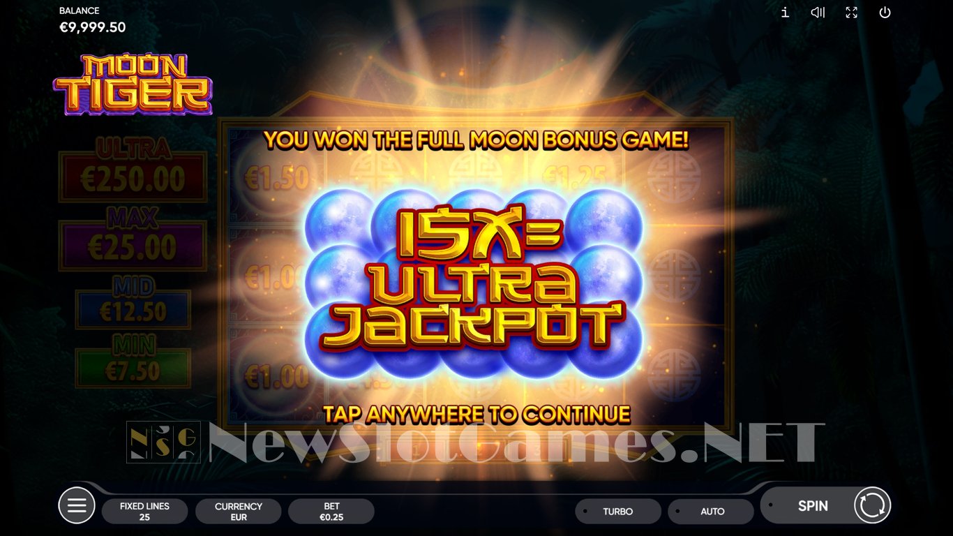 Moon Tiger Slot Slot Image in Demo - pic. 3