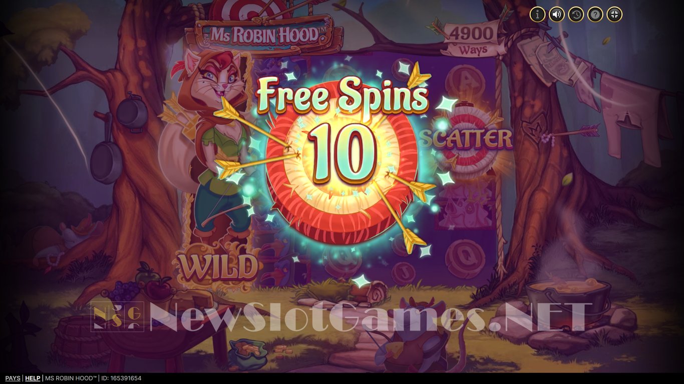 Ms Robin Hood Slot Slot Image in Demo - pic. 10