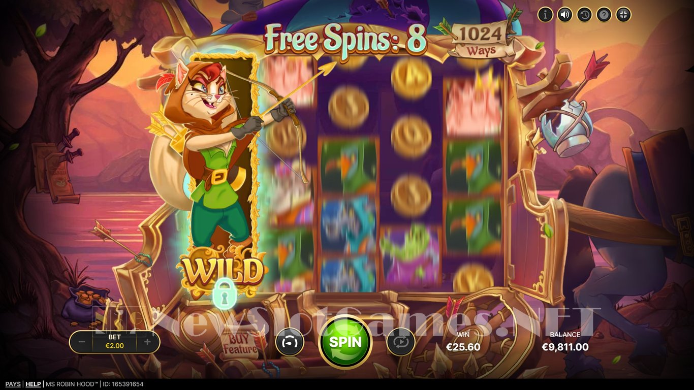 Ms Robin Hood Slot Slot Image in Demo - pic. 11