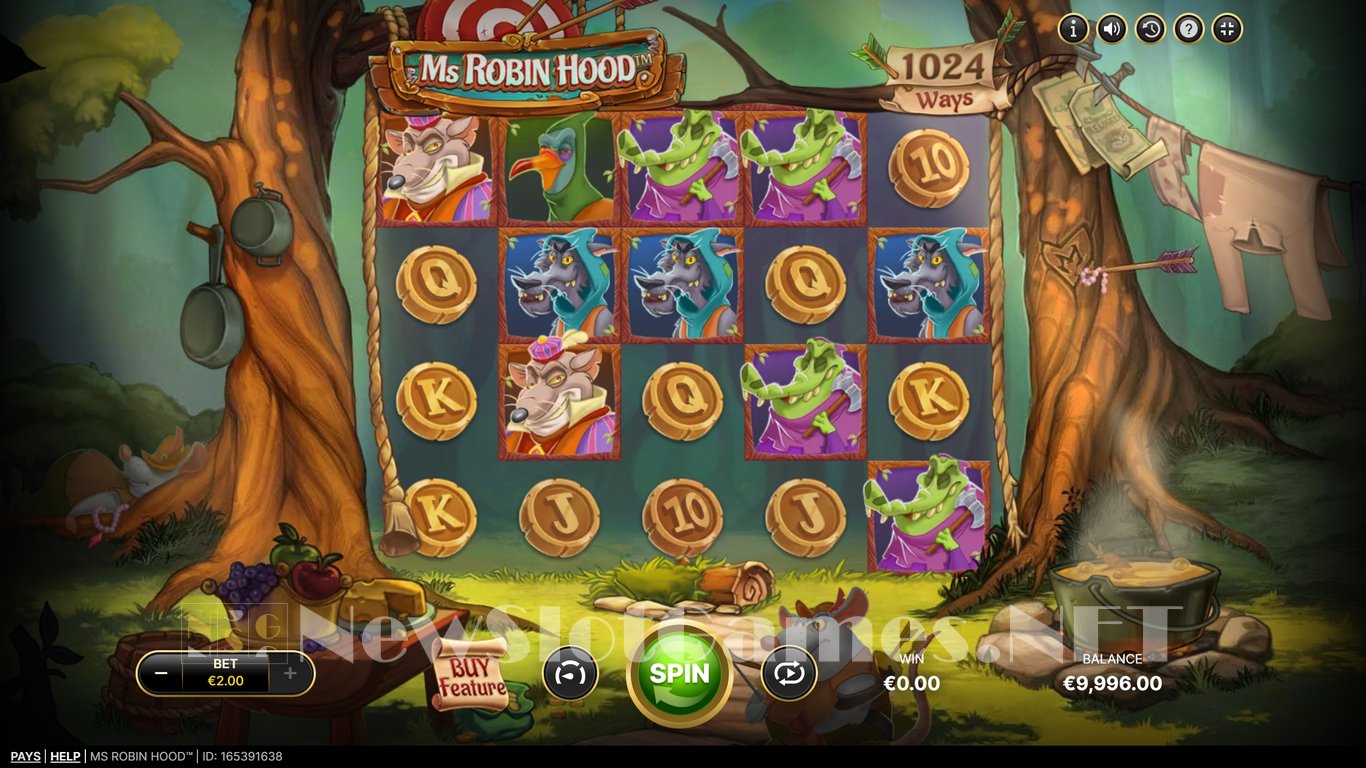 Ms Robin Hood Slot Slot Image in Demo - pic. 3