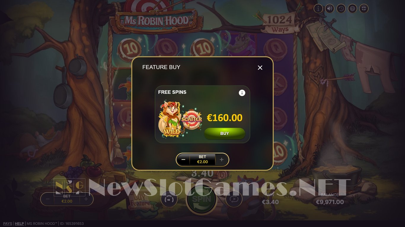 Ms Robin Hood Slot Slot Image in Demo - pic. 7