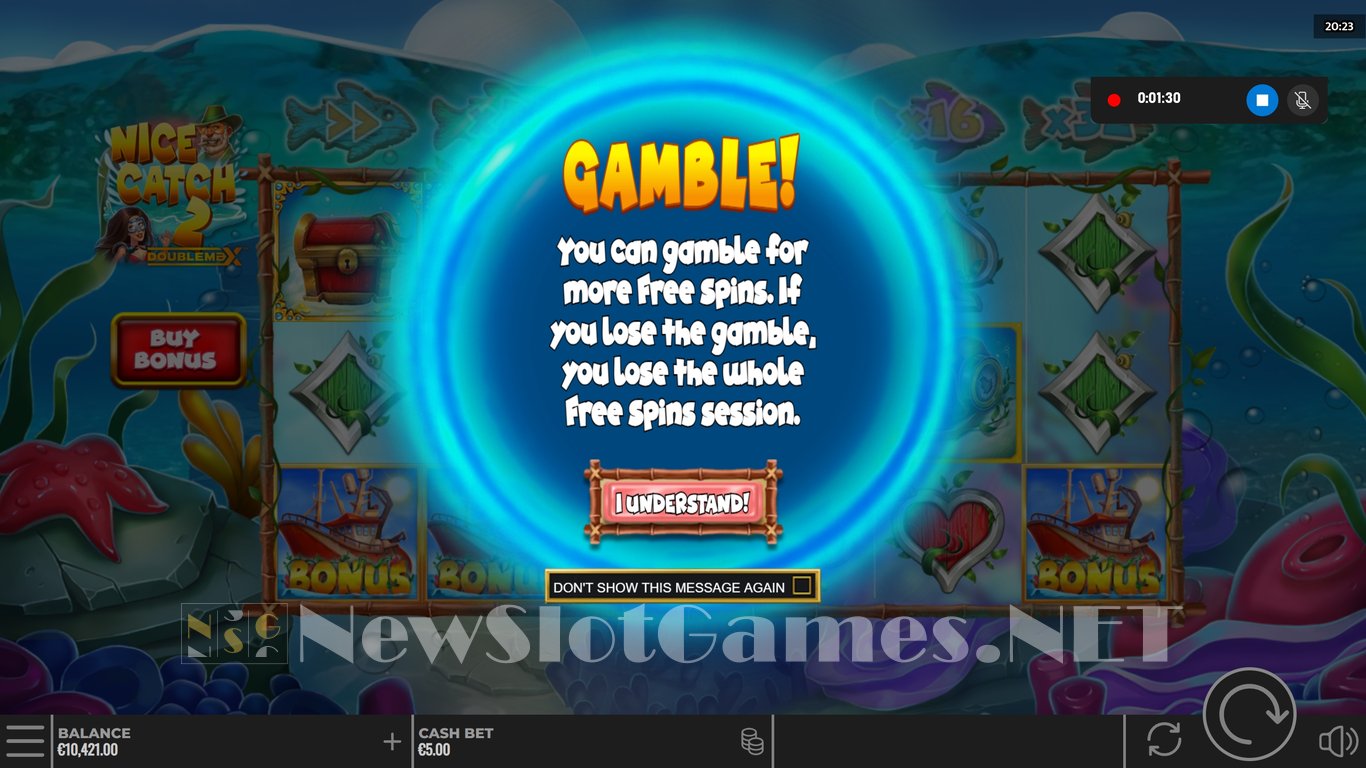 Nice Catch 2 DoubleMax Slot Slot Image in Demo - pic. 7