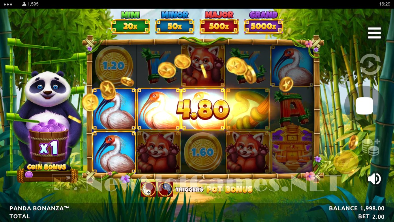 Panda Bonanza Slot Slot Image in Demo - pic. 2