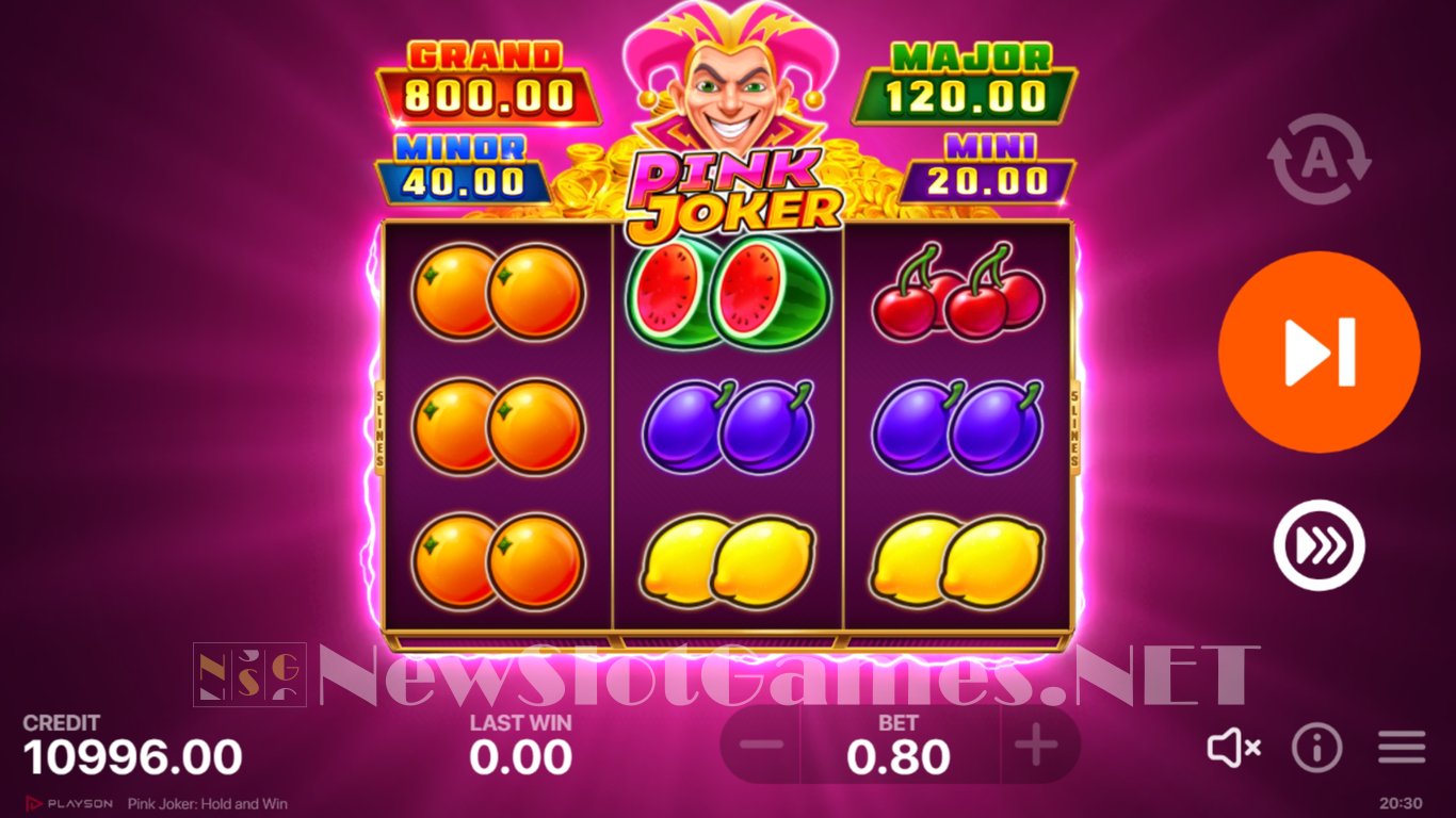 Pink Joker Hold and Win Slot Slot Image in Demo - pic. 4
