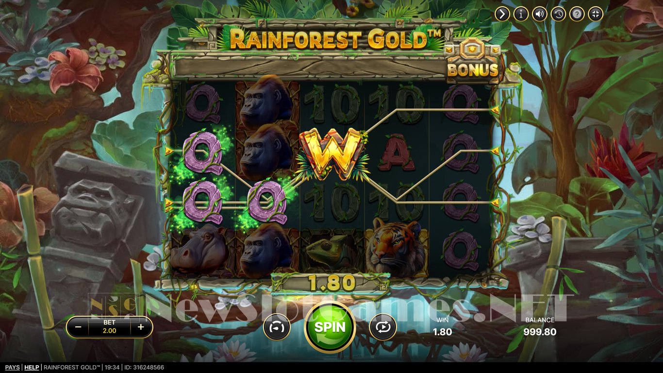 Rainforest Gold Slot Slot Image in Demo - pic. 2