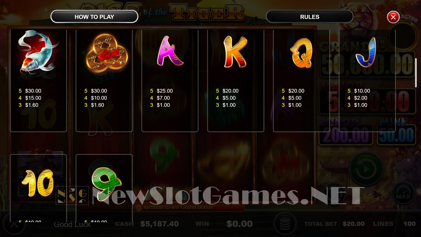 Rise of the Tiger Slot Slot Image in Demo - pic. 9