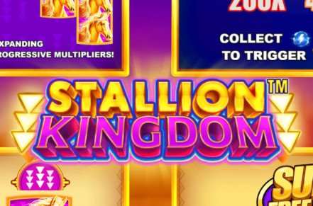 Stallion Kingdom Slot Icon