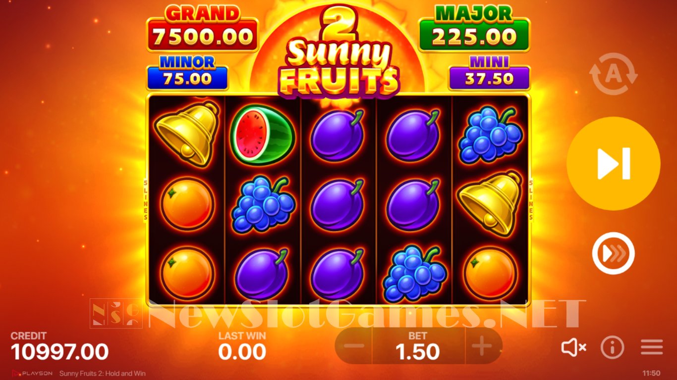 Sunny Fruits 2 Hold and Win Slot Slot Image in Demo - pic. 2