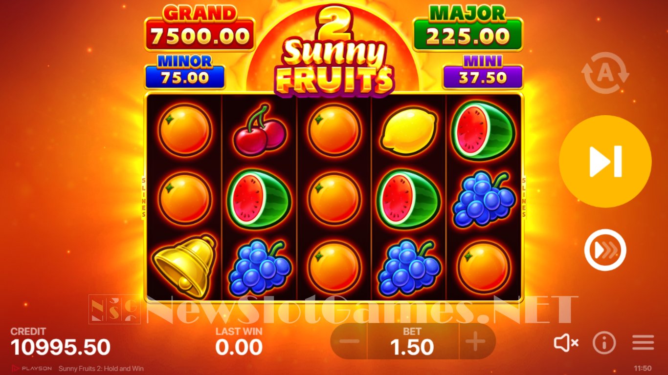 Sunny Fruits 2 Hold and Win Slot Slot Image in Demo - pic. 3