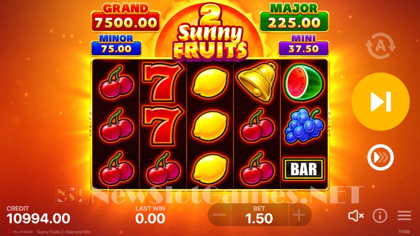 Sunny Fruits 2 Hold and Win Slot Slot Image in Demo - pic. 4