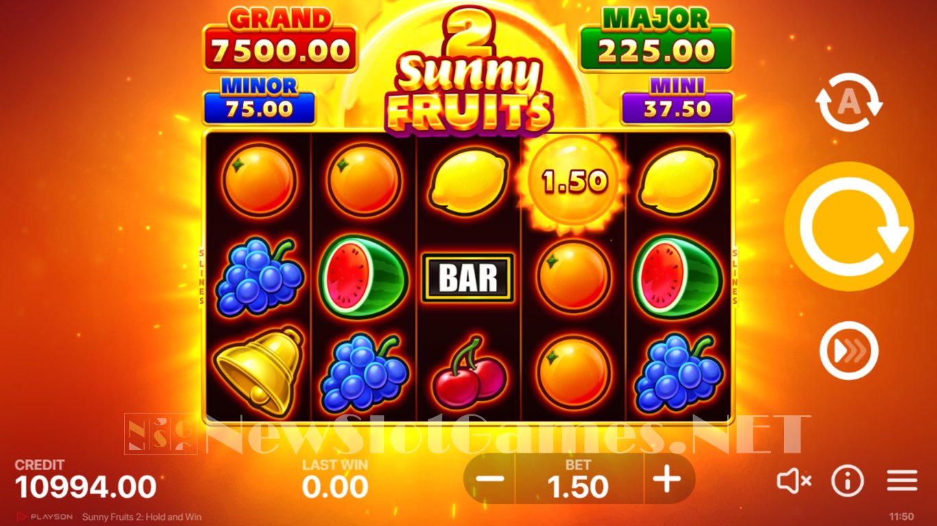 Sunny Fruits 2 Hold and Win Slot Slot Image in Demo - pic. 5