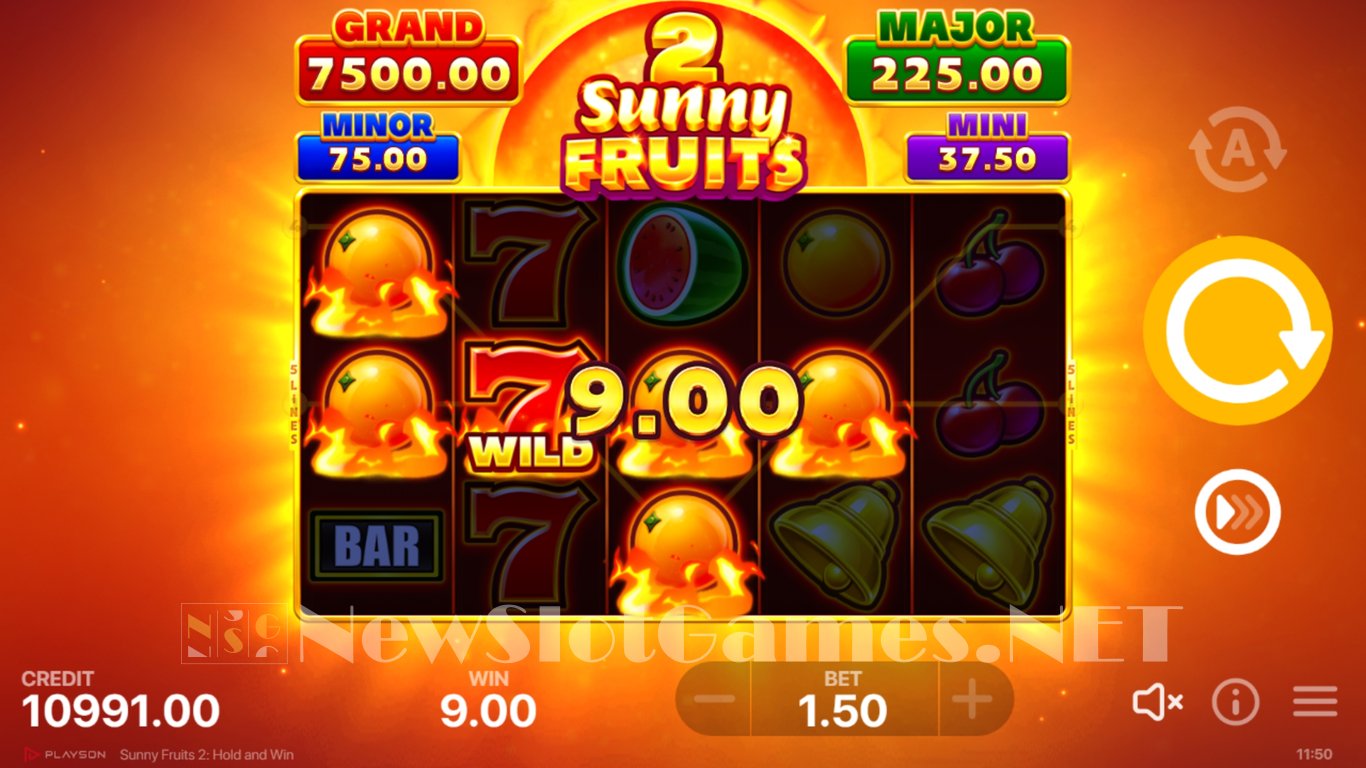 Sunny Fruits 2 Hold and Win Slot Slot Image in Demo - pic. 6