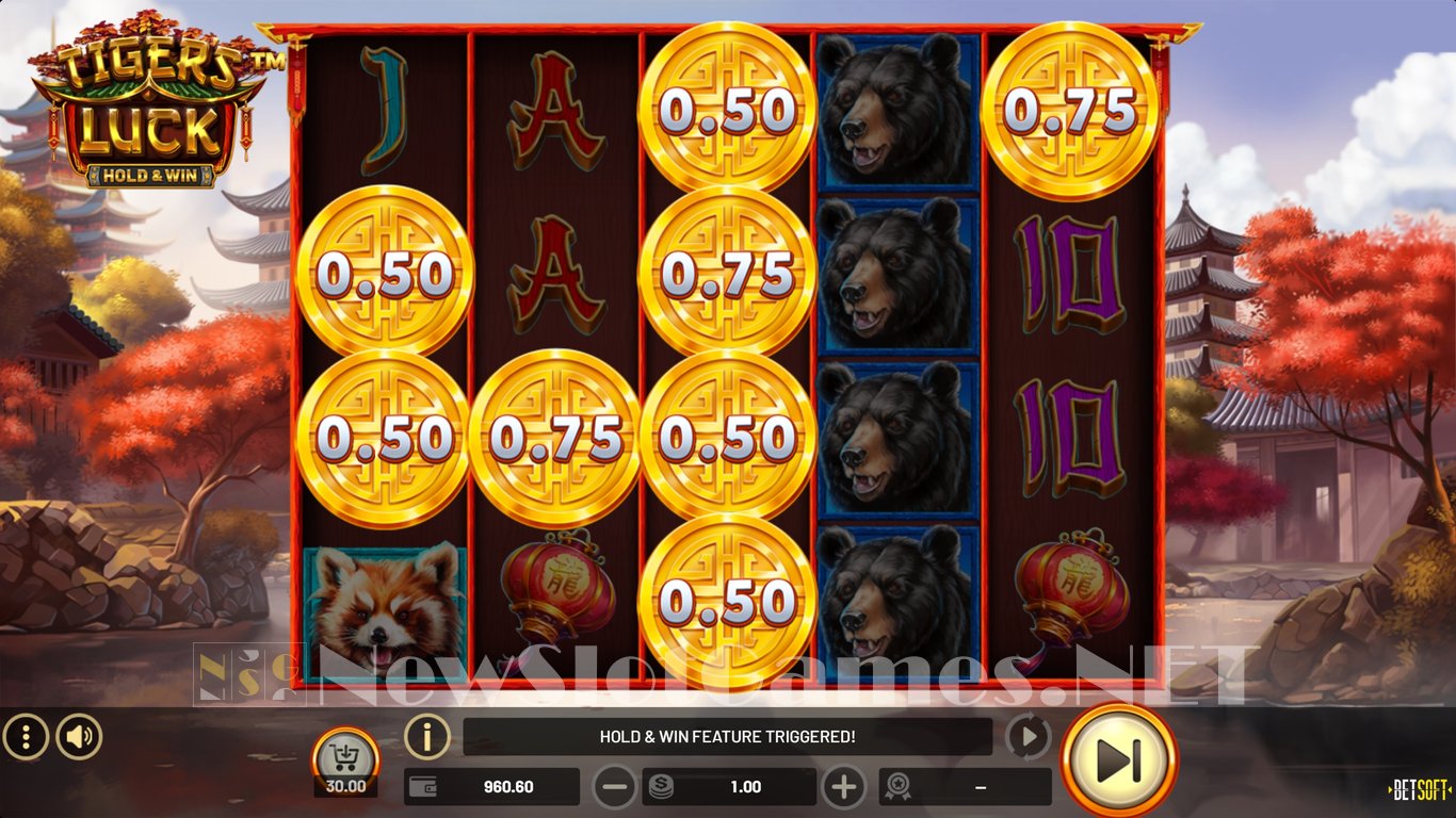 Tigers Luck Slot Slot Image in Demo - pic. 5