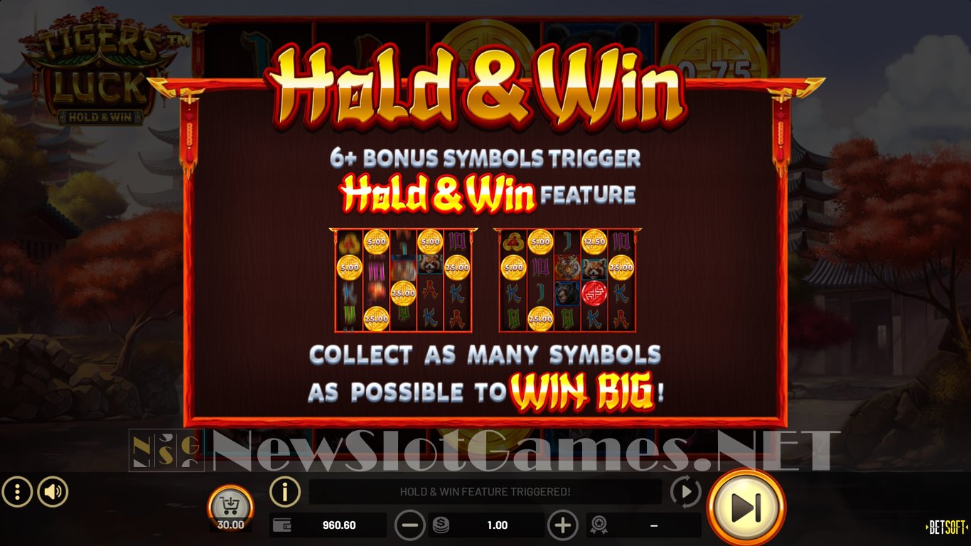 Tigers Luck Slot Slot Image in Demo - pic. 6