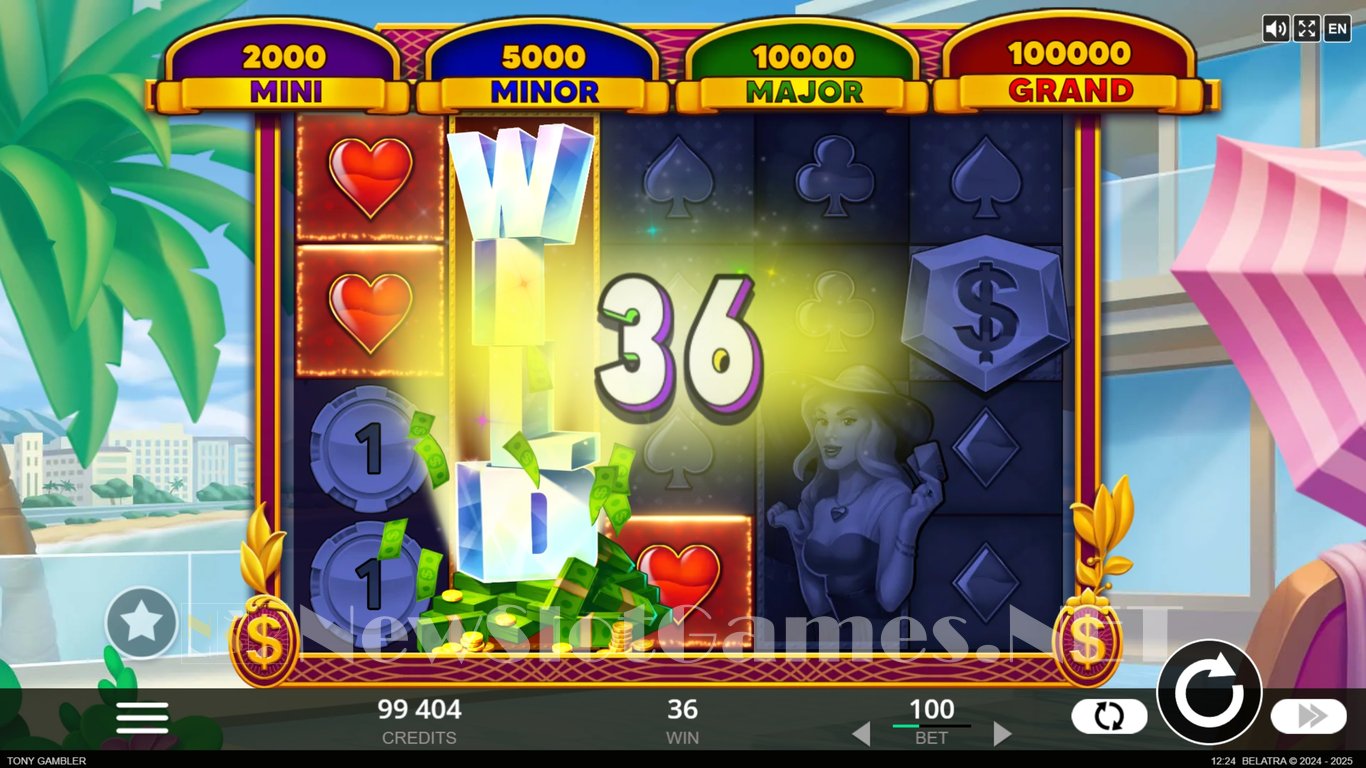 Tony Gambler Slot Slot Image in Demo - pic. 5