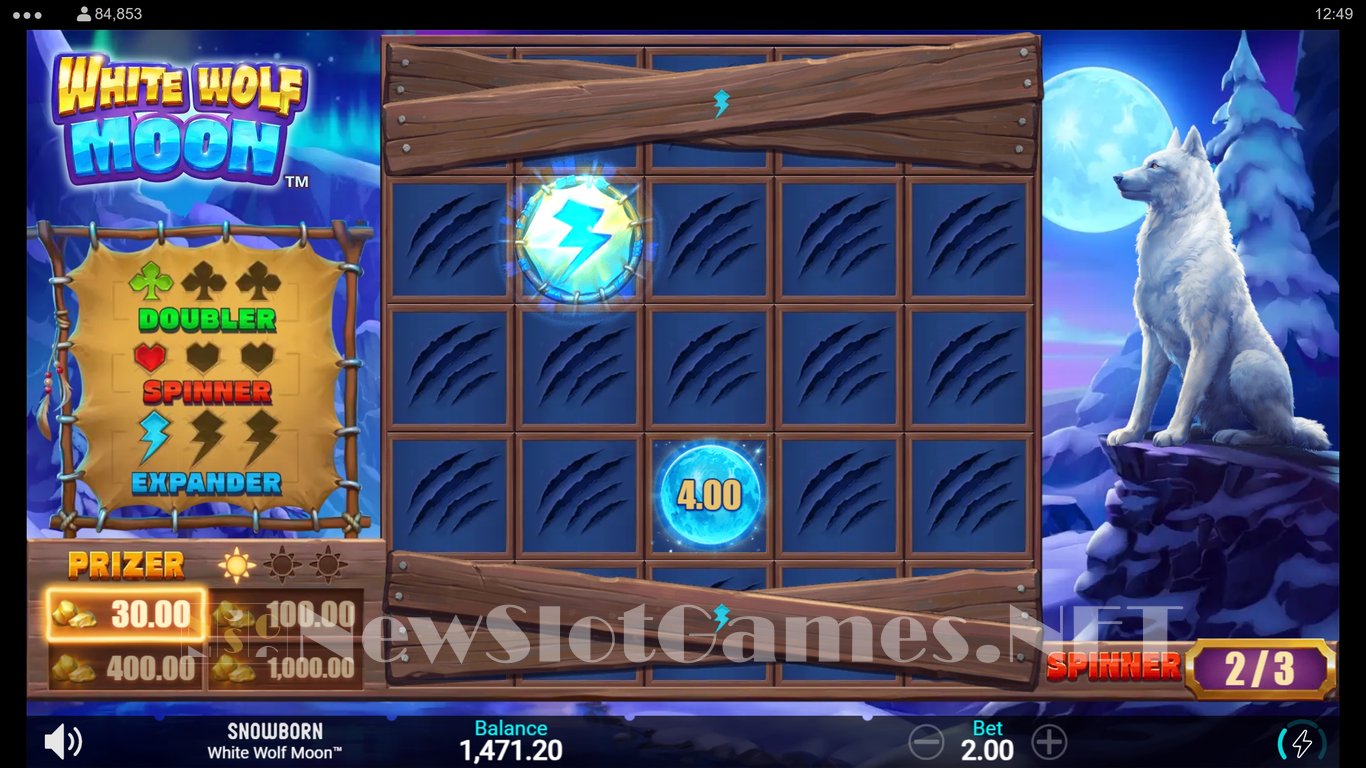 White Wolf Moon Slot Slot Image in Demo - pic. 10