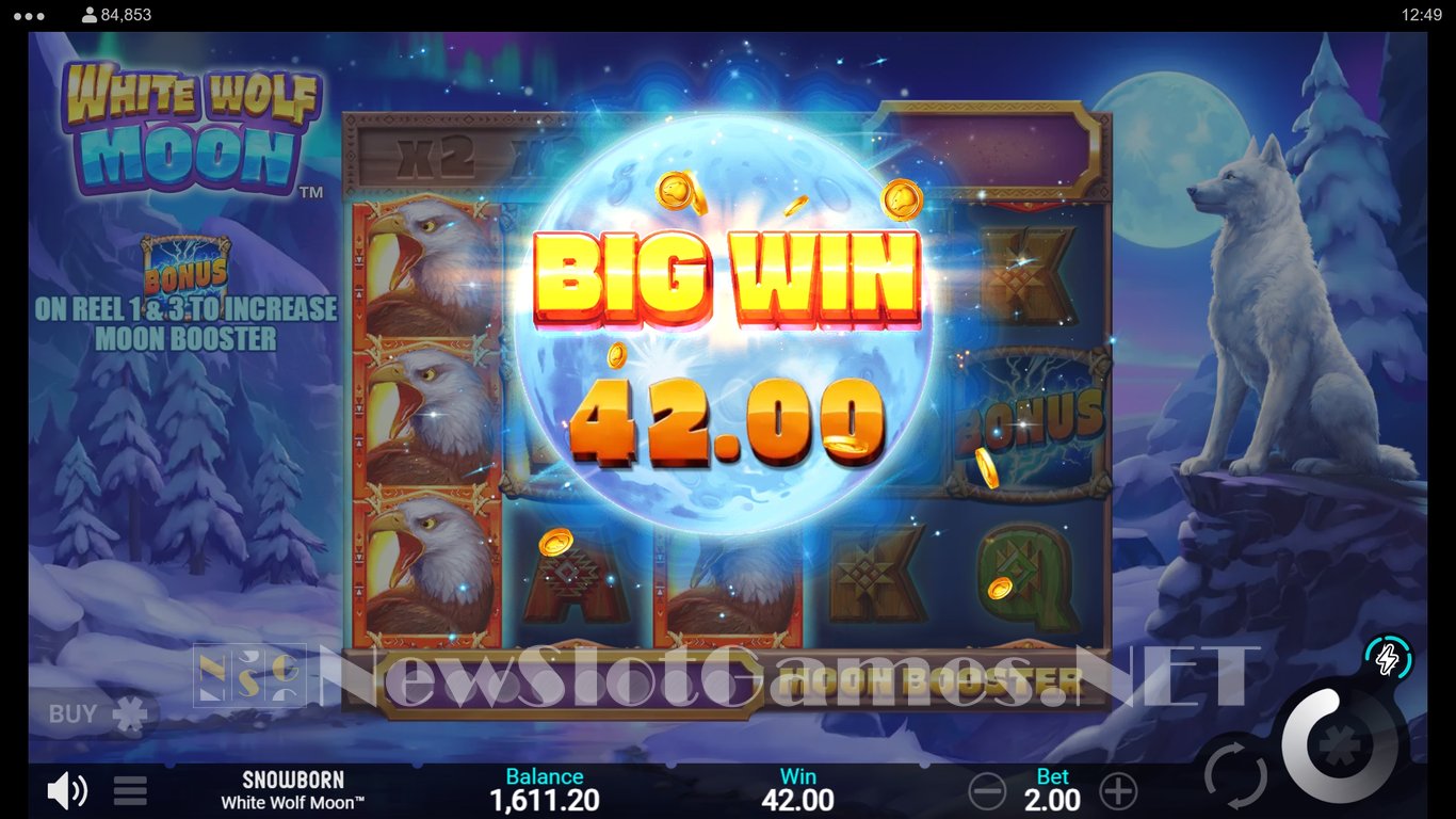 White Wolf Moon Slot Slot Image in Demo - pic. 2