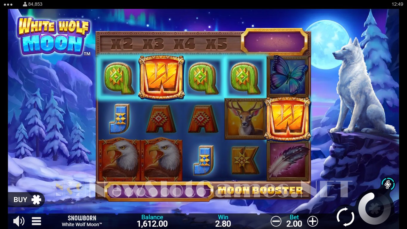 White Wolf Moon Slot Slot Image in Demo - pic. 3