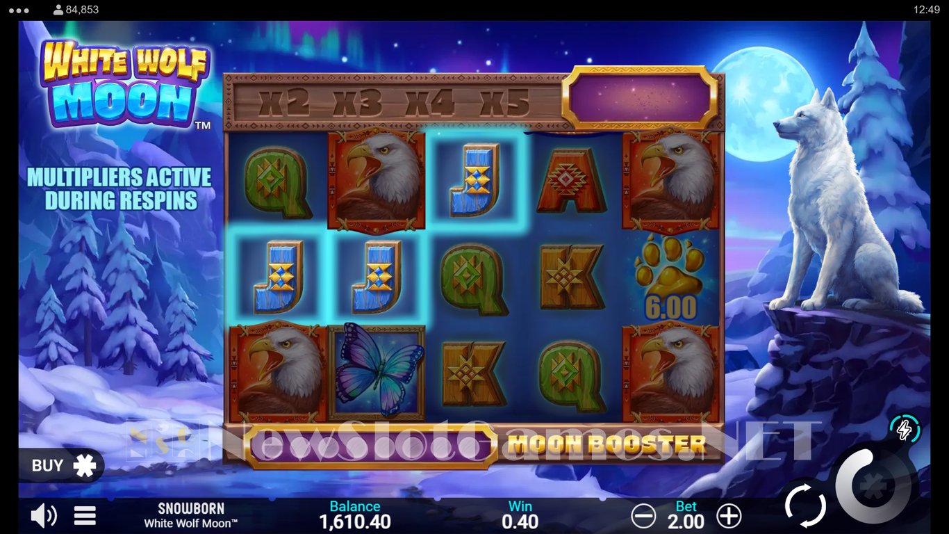 White Wolf Moon Slot Slot Image in Demo - pic. 4