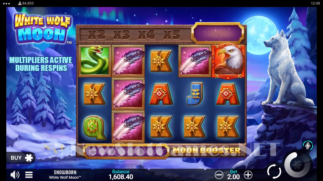 White Wolf Moon Slot Slot Image in Demo - pic. 5