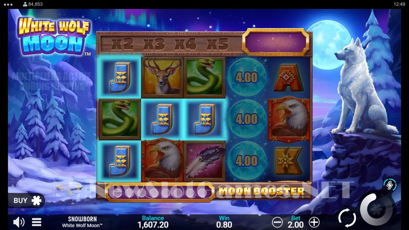 White Wolf Moon Slot Slot Image in Demo - pic. 6