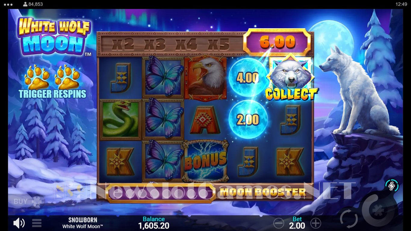 White Wolf Moon Slot Slot Image in Demo - pic. 7