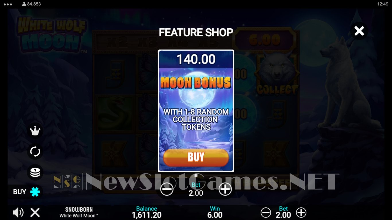 White Wolf Moon Slot Slot Image in Demo - pic. 8
