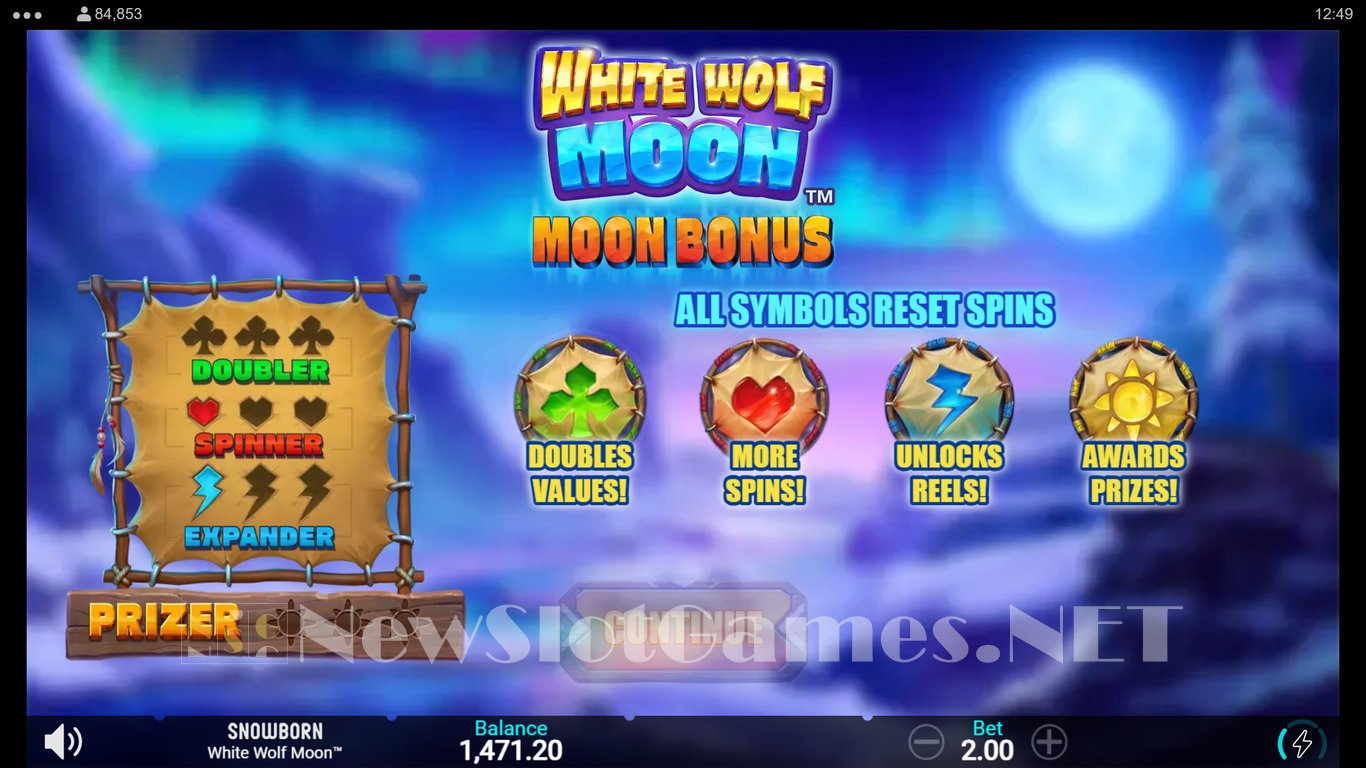 White Wolf Moon Slot Slot Image in Demo - pic. 9
