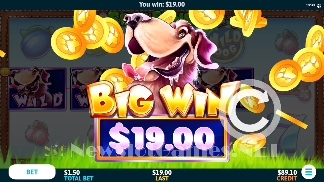 Wild Dog Slot Slot Image in Demo - pic. 6