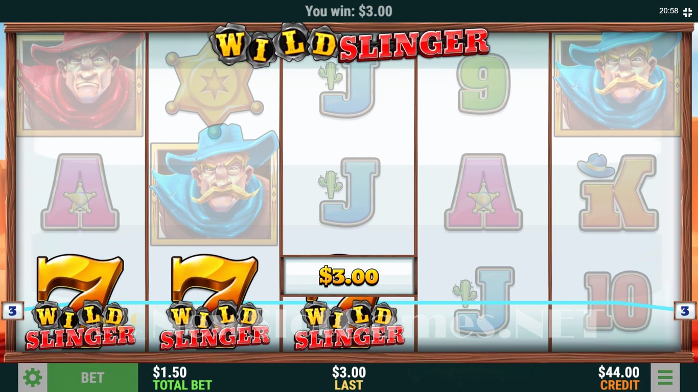 Wild Slinger Slot Slot Image in Demo - pic. 3