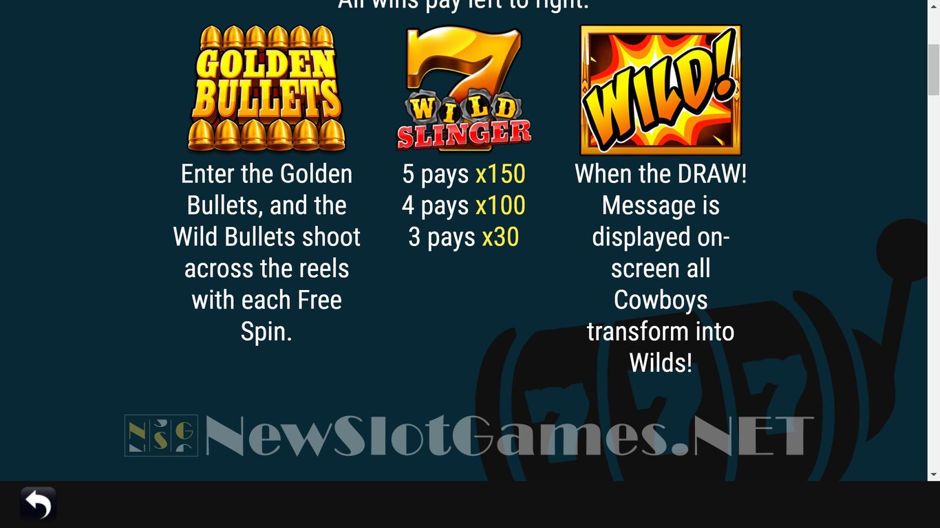 Wild Slinger Slot Slot Image in Demo - pic. 5