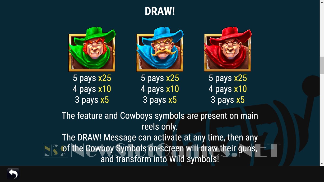 Wild Slinger Slot Slot Image in Demo - pic. 7